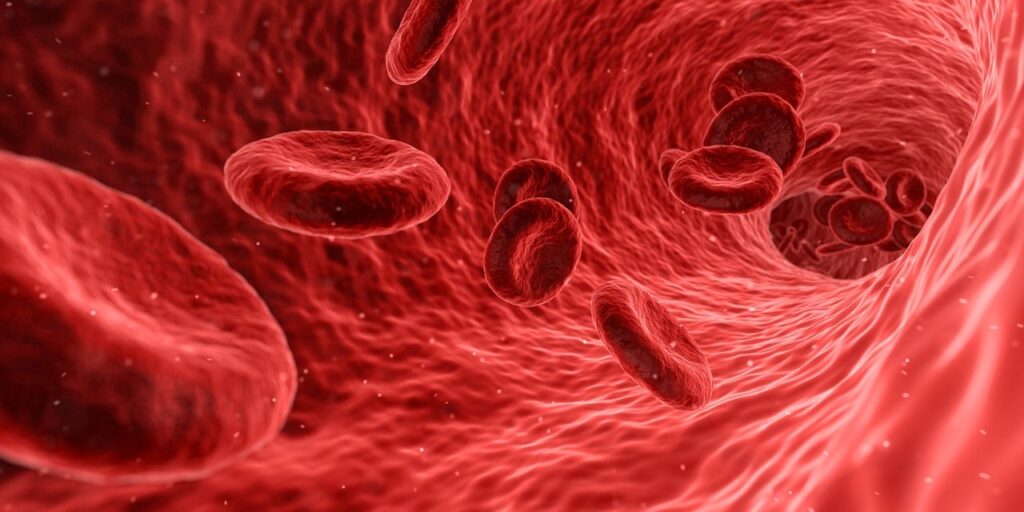 Symptoms of High Cholesterol in Females
blood picture 