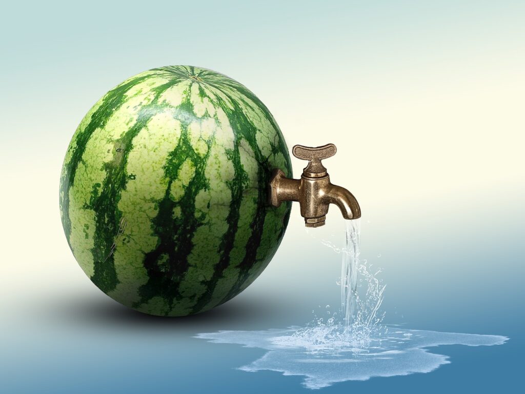 Best Way to Hydrate watermelon
watermelon picture 