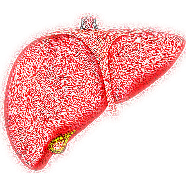 Is Fatty Liver Reversible.
fatty liver image 